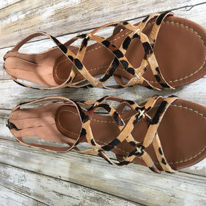 Boden Leopard Print Strappy Gladiators!